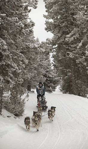 PIRENA Andorre Pyr&eacute;n&eacute;es